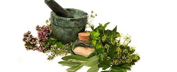 4 Herbs For Longer Hair