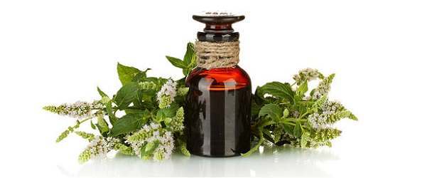 What Need To Know About Tea Tree Oil & Hair